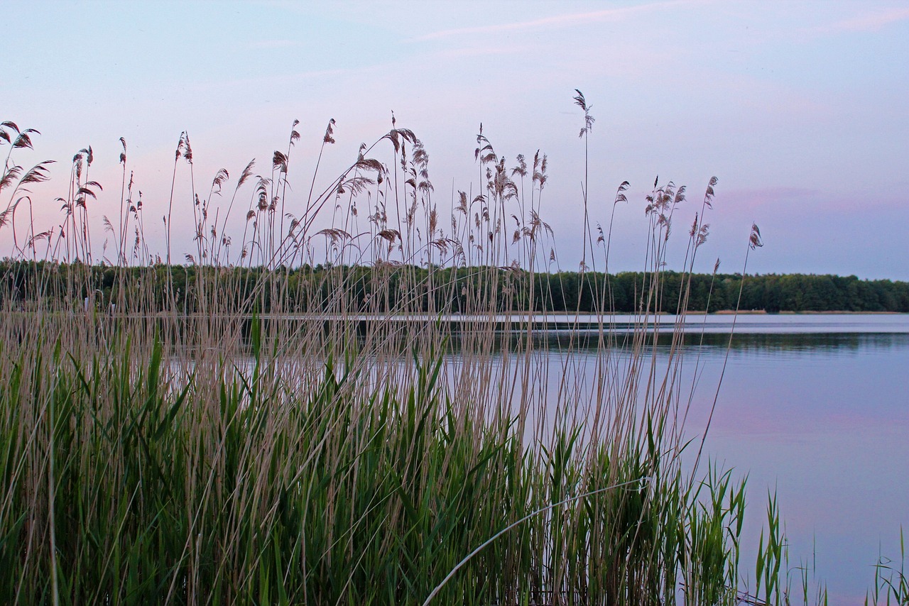 Entspannendes Wochenende in der Mecklenburgischen Seenplatte